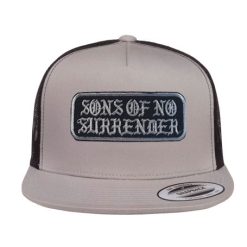 Sons Flat Trucker Patccg077