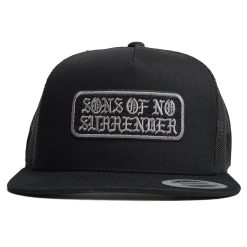 NEW CAP TEMPLATE FOR ONLINE990 STORE8